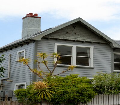building inspection auckland